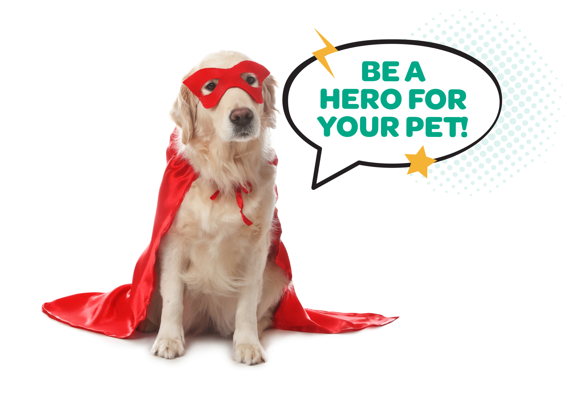 Young golden retriever wearing mask and cape, like a super hero