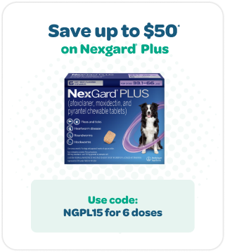 Save up to $50 on Nexgard Plus