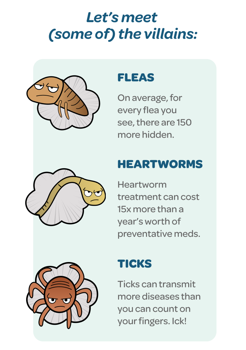 Fleas, Heartworms, and Ticks