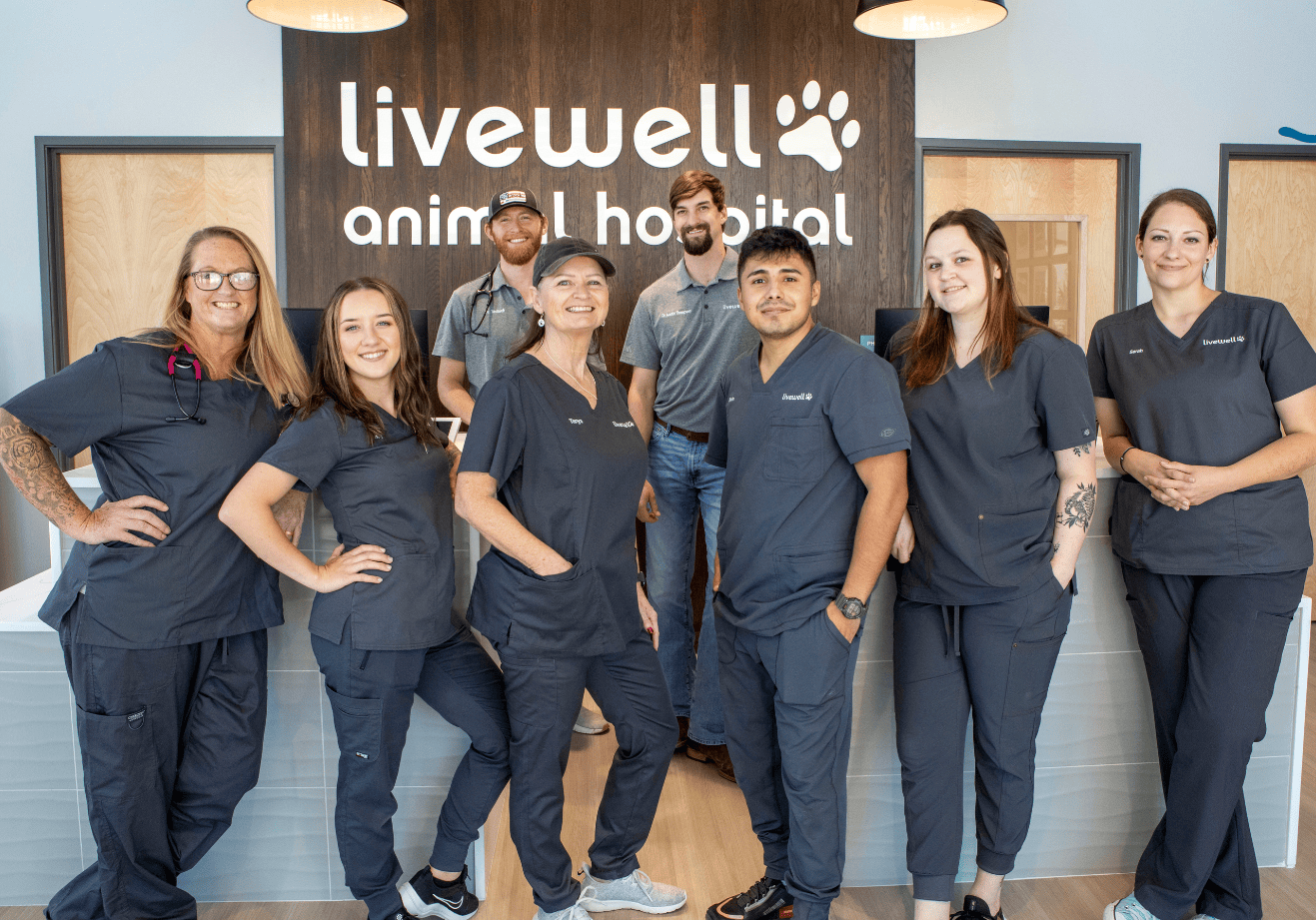 Entire staff of Livewell Animal Hospital of Little Elm gathered around receptionist area posing