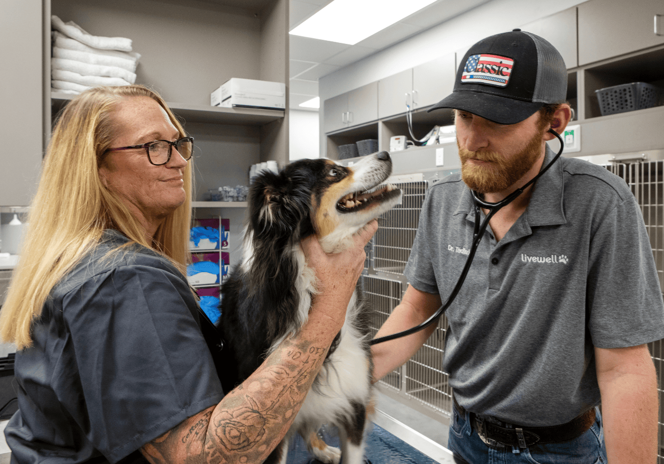 Dr. Tadlock examining dog on table with veterinary technician helping